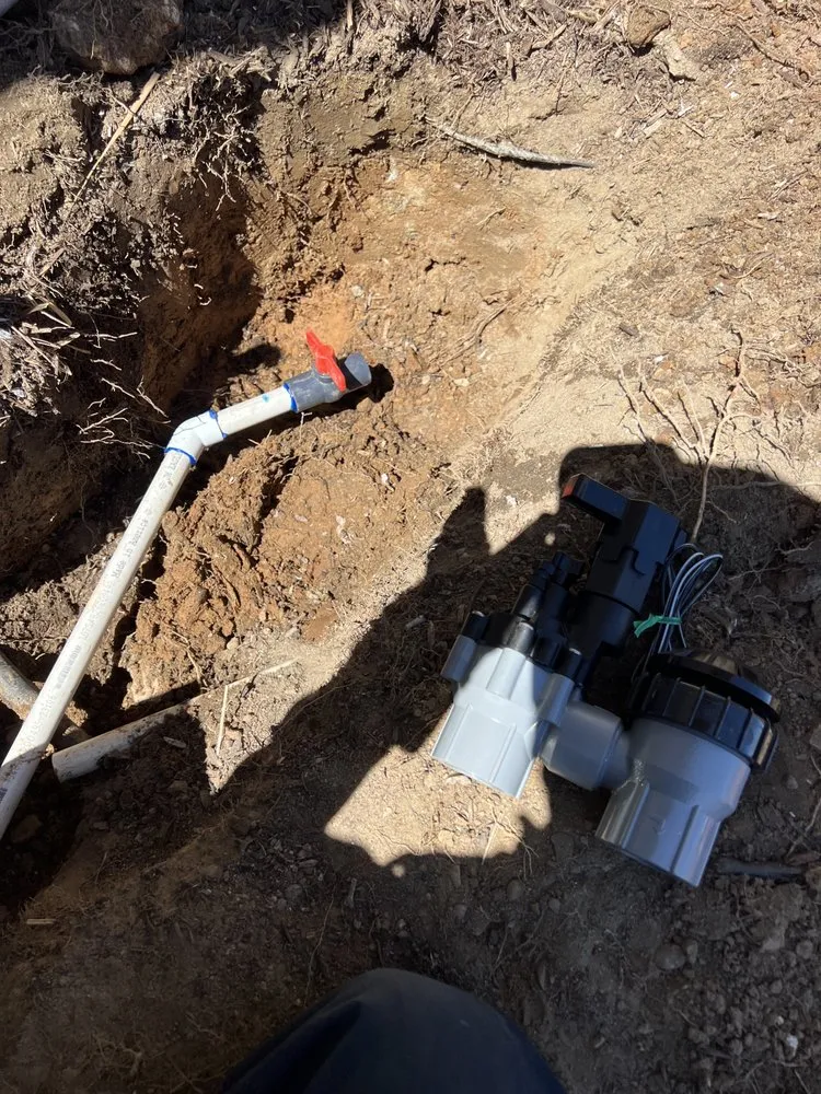 Top-rated landscape design in Orange, CA by Ivan's Lawn Solution