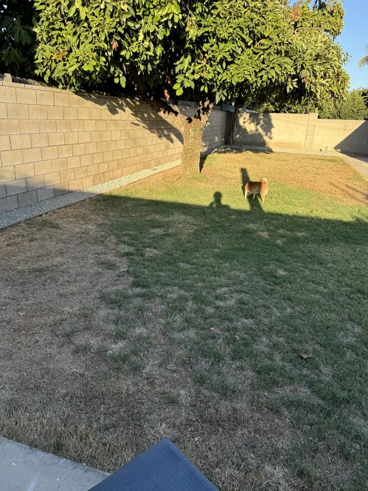 Affordable yard maintenance in Orange, CA - Ivan's Lawn Solution