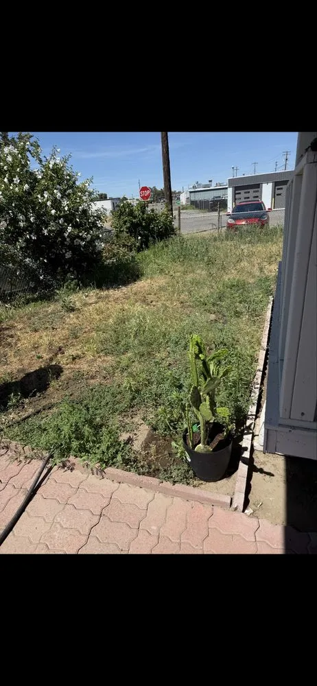 Affordable yard cleanup service in Benton City, WA - Ivan's You Call We Haul