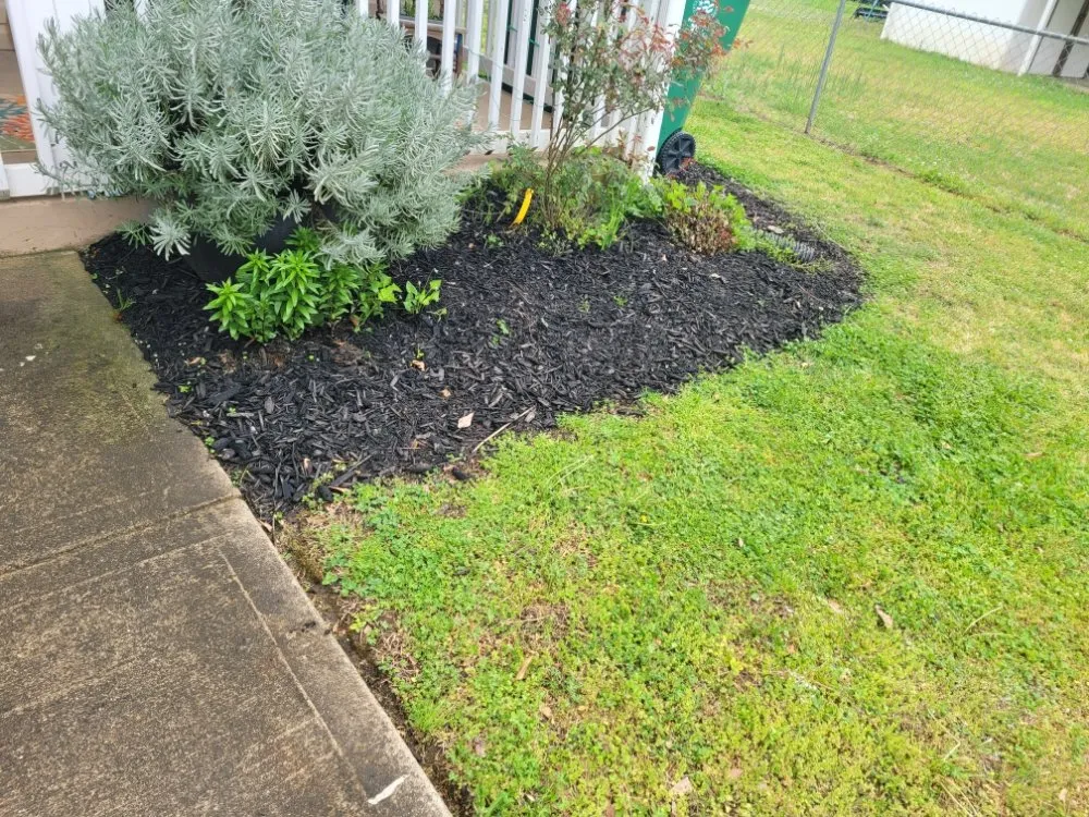 Affordable outdoor landscaping experts serving Auburn, GA - Ives and Simmons Services