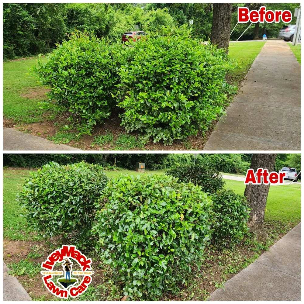 Trusted outdoor landscaping for outdoor upgrades in Lithonia, GA by Iveymack Lawn Care & Junk Removal