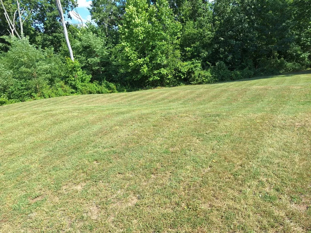 Expert yard maintenance for beautiful yards across Lexington, KY - Iveys Handyman Services