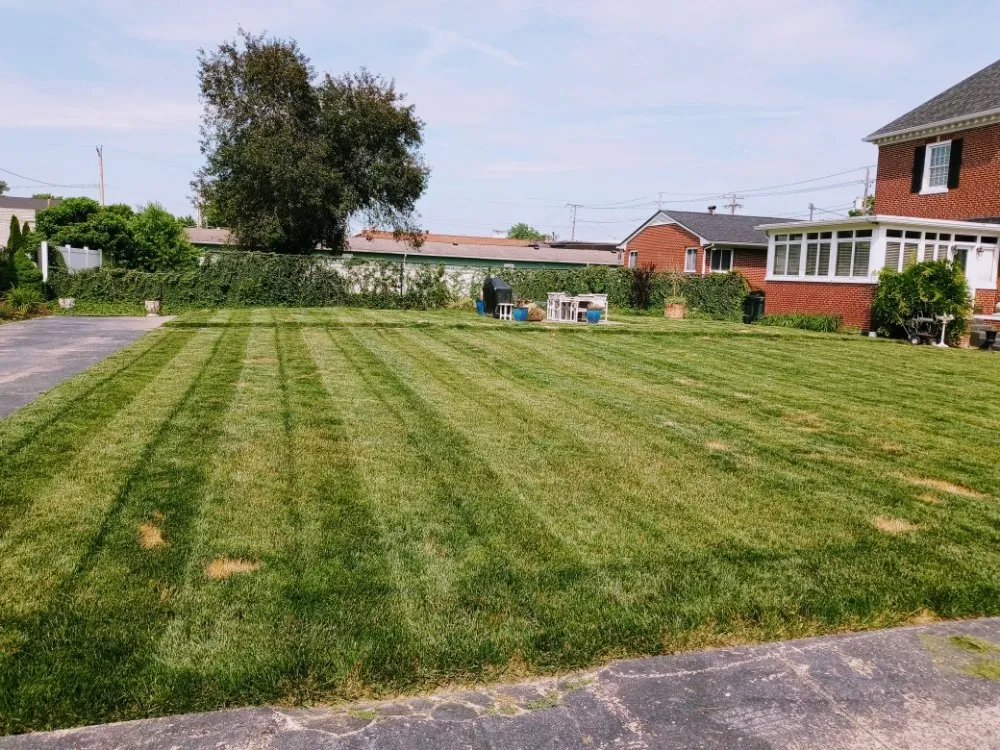 Professional lawn mowing service for homes in Lexington, KY by Iveys Handyman Services