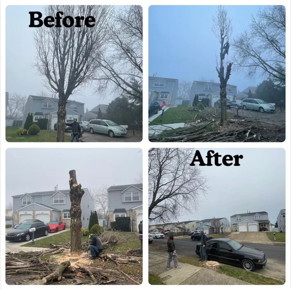 Expert outdoor landscaping near you in Philadelphia, PA by IVI Tree Service