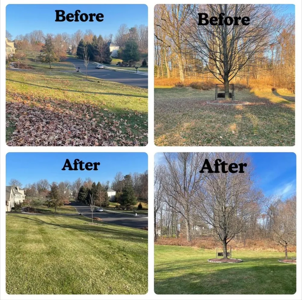 Expert outdoor landscaping in Philadelphia, PA by IVI Tree Service