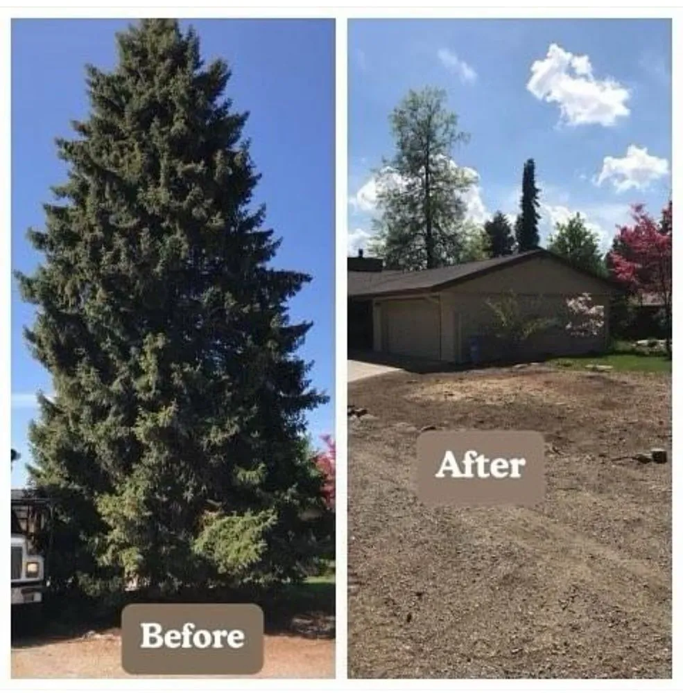 Affordable lawn mowing service in Philadelphia, PA by IVI Tree Service