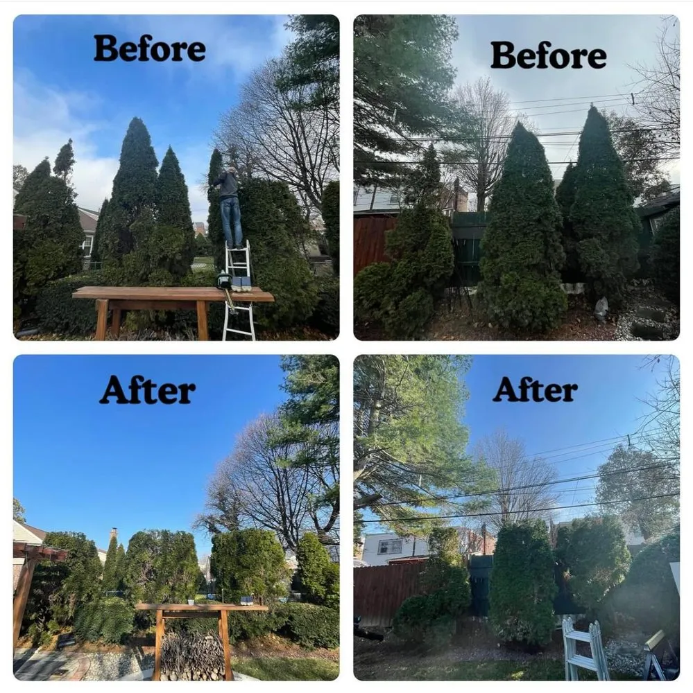 Trusted yard cleanup service in Philadelphia, PA - IVI Tree Service
