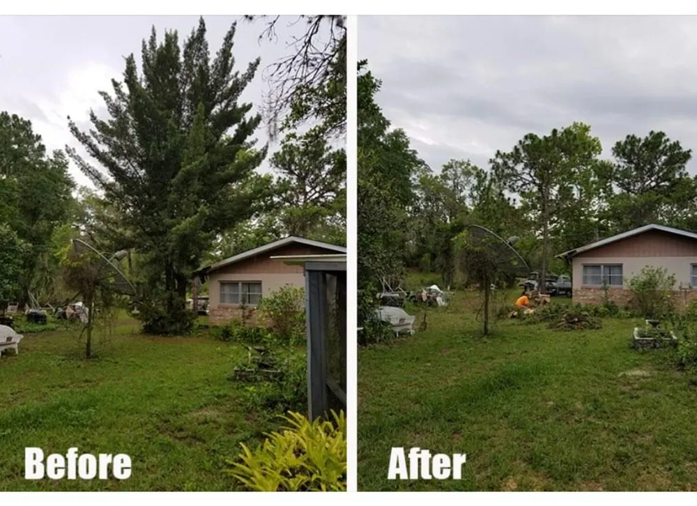 Affordable landscaping services in Philadelphia, PA - IVI Tree Service