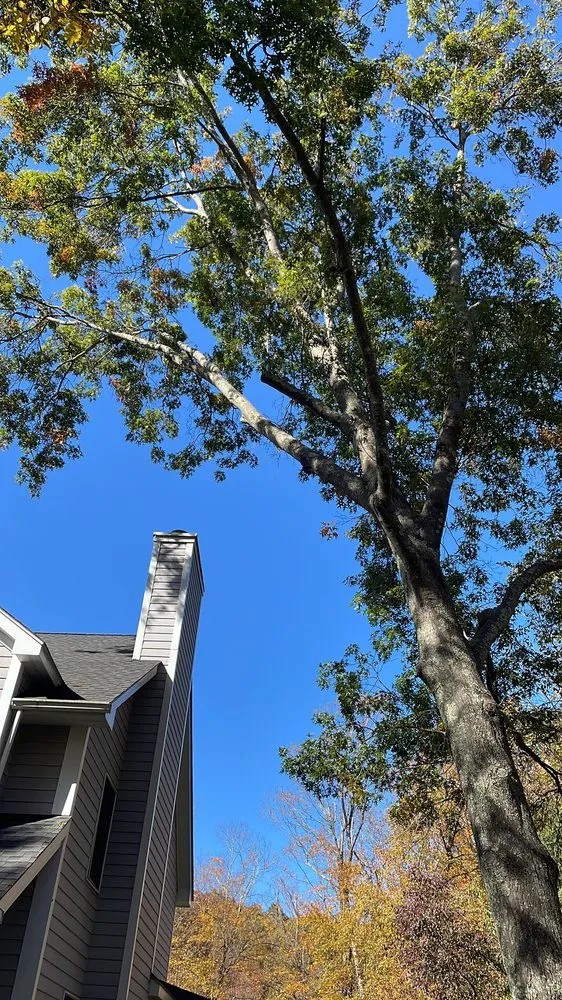 Reliable landscape installation in Mount Kisco, NY - Ivs Tree Service And Landscaping