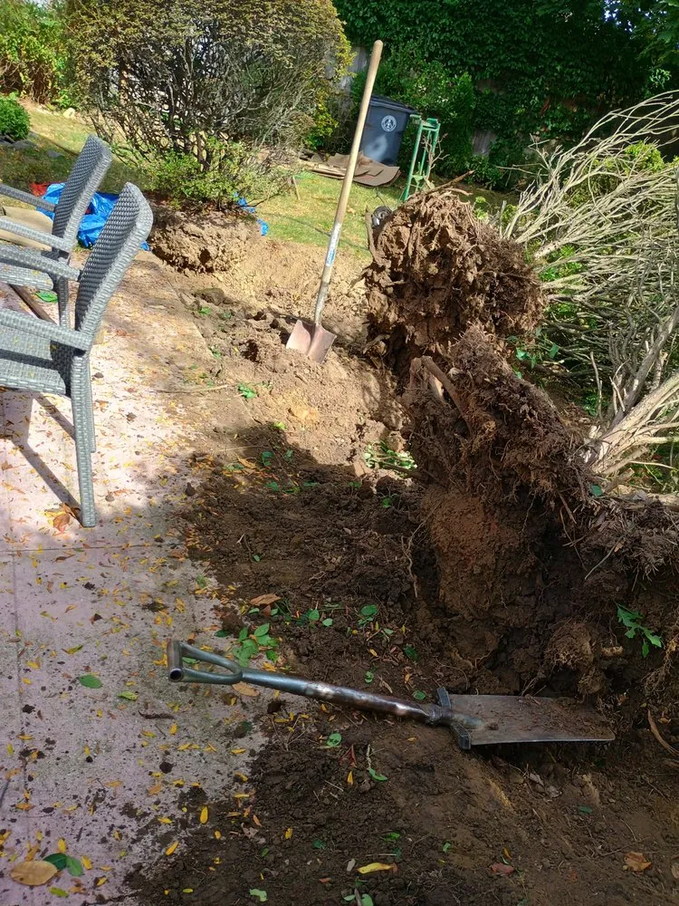 Expert outdoor landscaping in Mount Kisco, NY - Ivs Tree Service And Landscaping