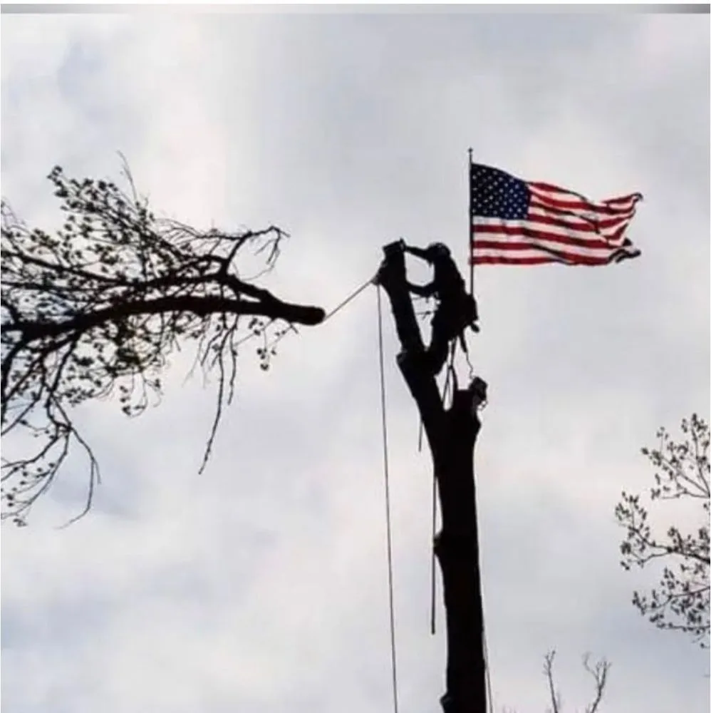 Local residential landscaping for homes in Mount Kisco, NY by Ivs Tree Service And Landscaping