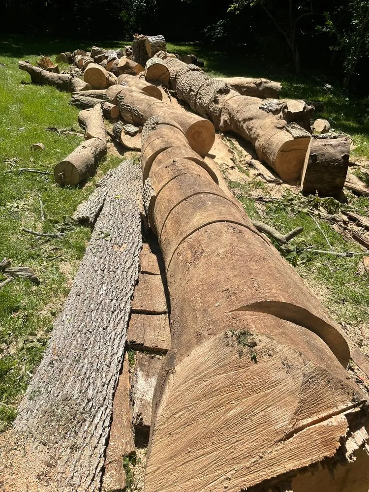 Affordable yard maintenance with custom design across Mount Kisco, NY - Ivs Tree Service And Landscaping