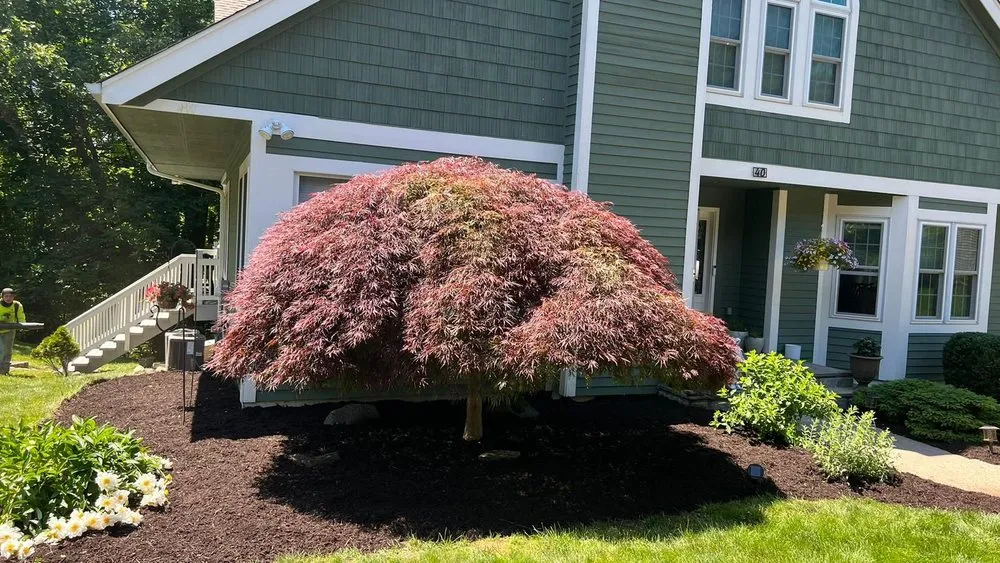 Local lawn mowing service for year-round maintenance across Mount Kisco, NY - Ivs Tree Service And Landscaping