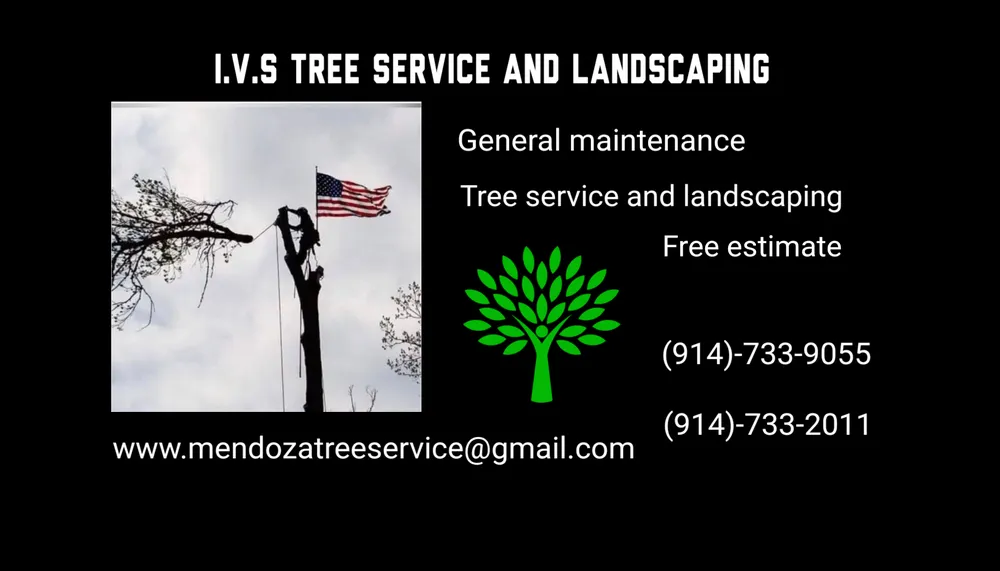 Expert yard maintenance for homes across Mount Kisco, NY - Ivs Tree Service And Landscaping