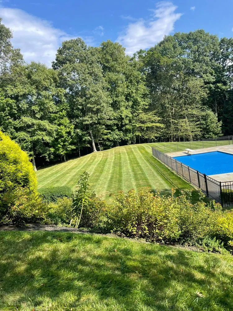 Custom lawn care service in Mount Kisco, NY - Ivs Tree Service And Landscaping