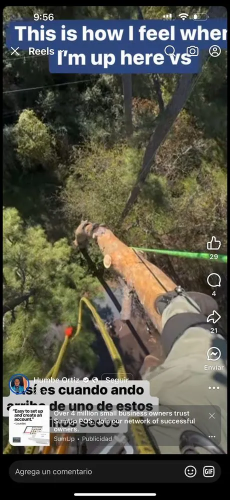 Trusted residential landscaping experts serving Mount Kisco, NY - Ivs Tree Service And Landscaping