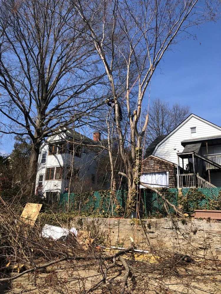 Trusted yard maintenance for year-round maintenance across Mount Kisco, NY - Ivs Tree Service And Landscaping