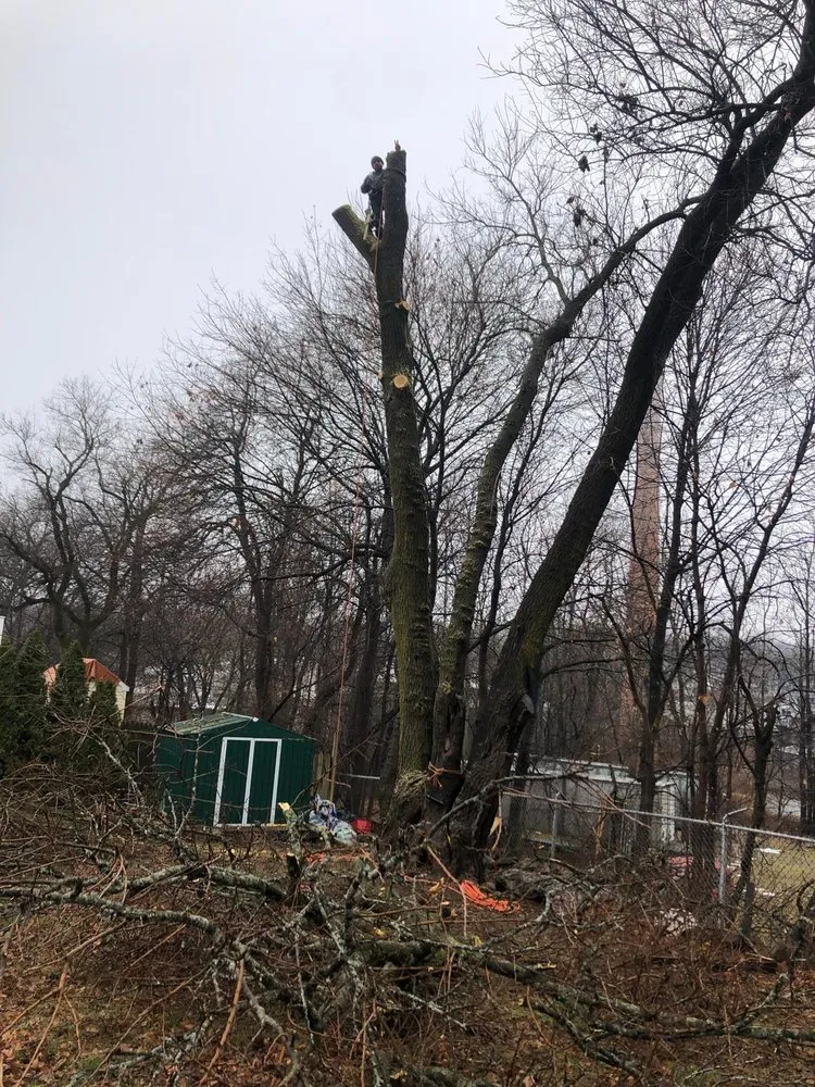 Custom yard cleanup service in Mount Kisco, NY by Ivs Tree Service And Landscaping