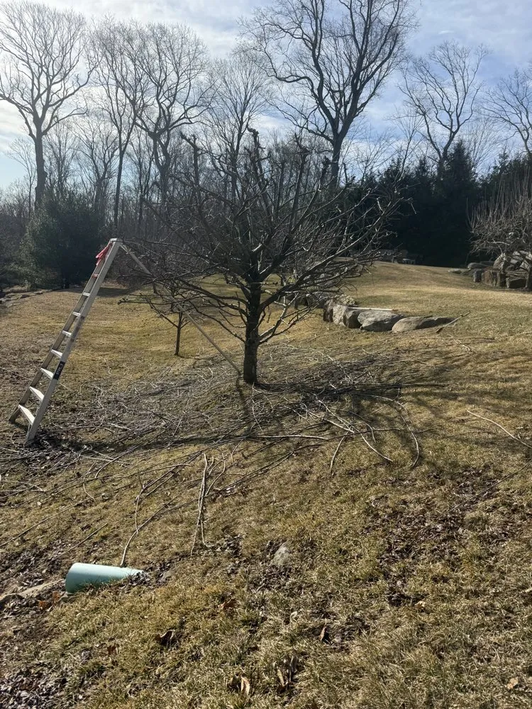 Trusted outdoor landscaping experts serving Mount Kisco, NY - Ivs Tree Service And Landscaping