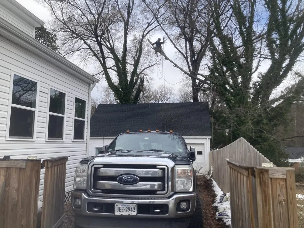 Local yard maintenance for residential properties in Richmond, VA by Ivy Gone