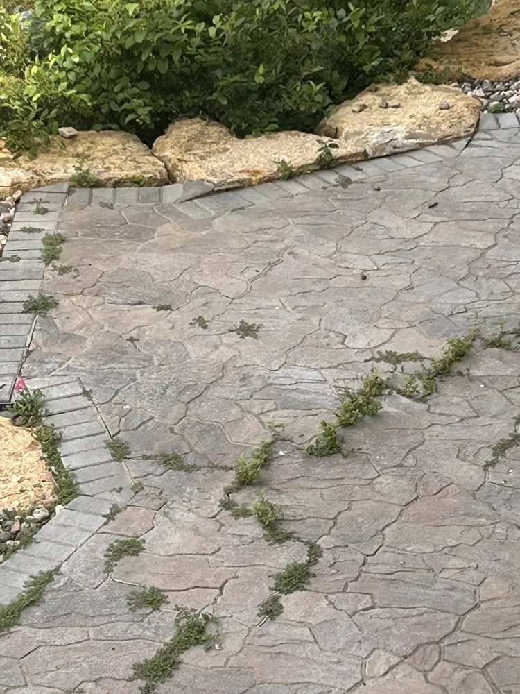 Affordable lawn care service in Coon Rapids, MN by Ivy Landscape By Design