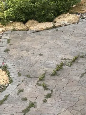 Ivy Landscape By Design