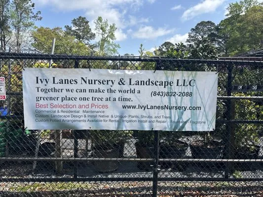 Ivy Lanes Nursery & Landscape LLC Logo