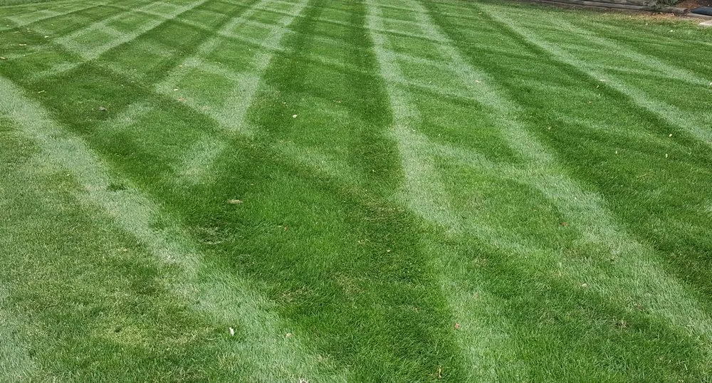 Reliable residential landscaping in Kansas City, MO - Ivy Lawn Care