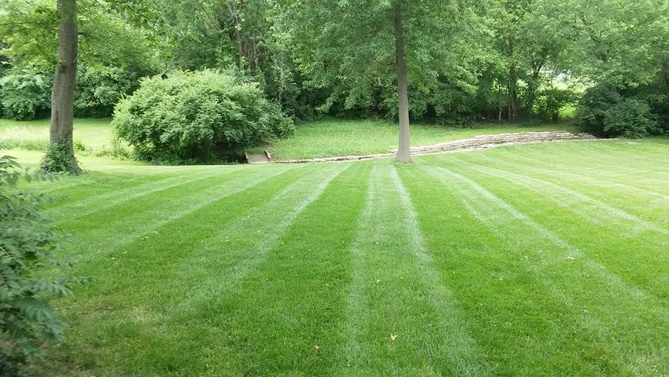 Reliable yard cleanup service experts serving Kansas City, MO - Ivy Lawn Care
