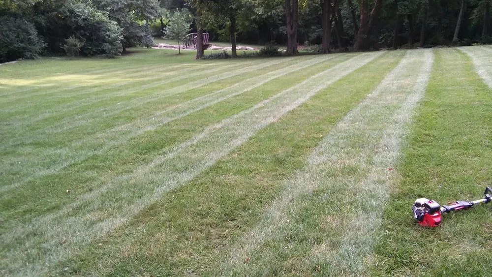 Expert yard cleanup service in Kansas City, MO - Ivy Lawn Care