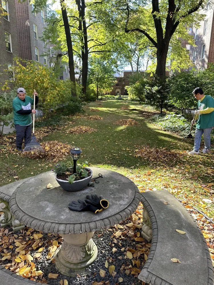 Top-rated outdoor landscaping in Brooklyn, NY by Ivy League