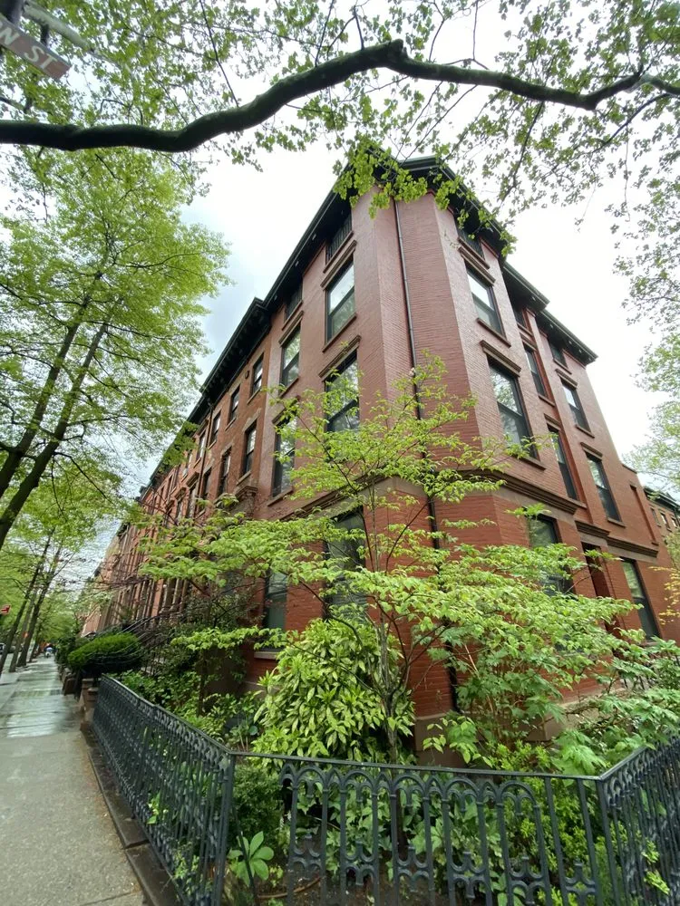 Custom yard cleanup service in Brooklyn, NY by Ivy League