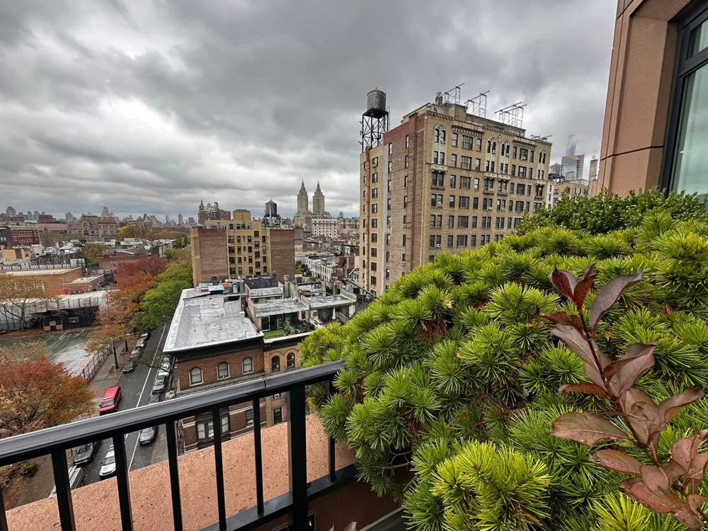 Local yard maintenance in Brooklyn, NY - Ivy League