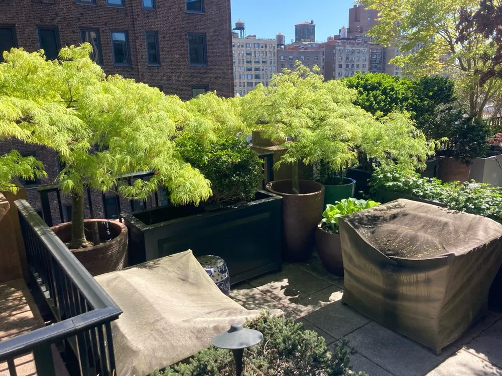 Professional yard maintenance with custom design in Brooklyn, NY by Ivy League