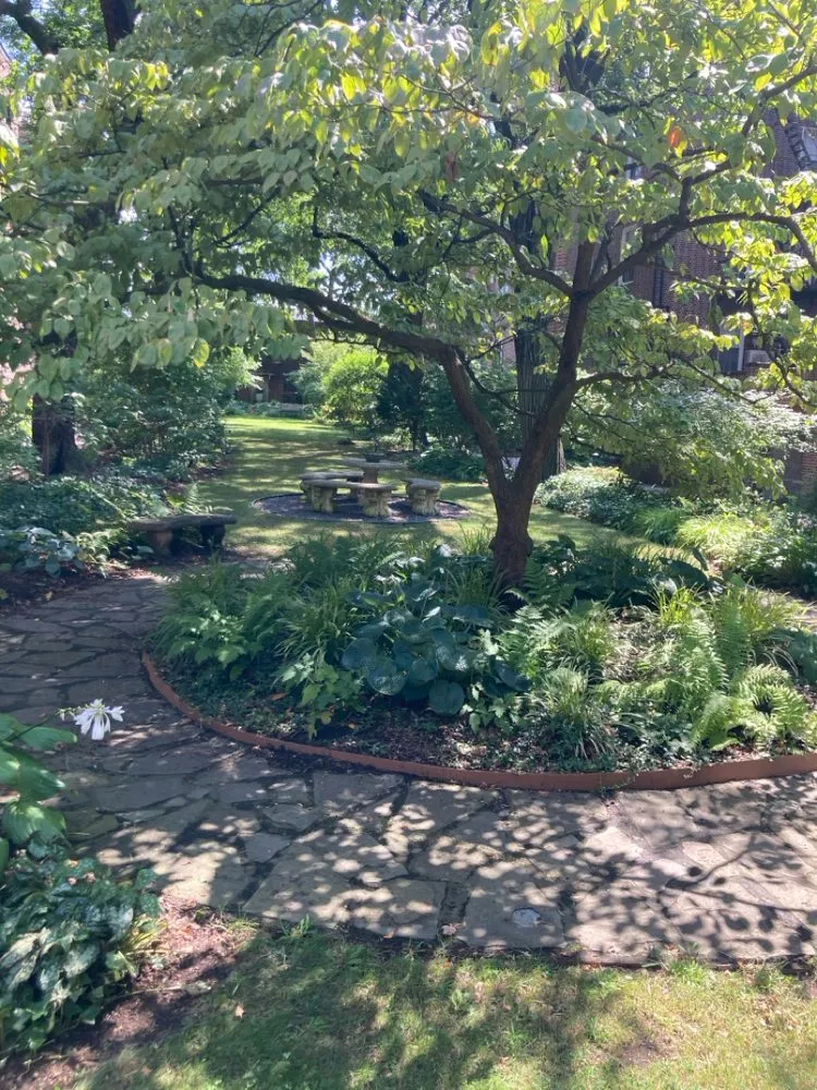 Affordable lawn care service in Brooklyn, NY - Ivy League