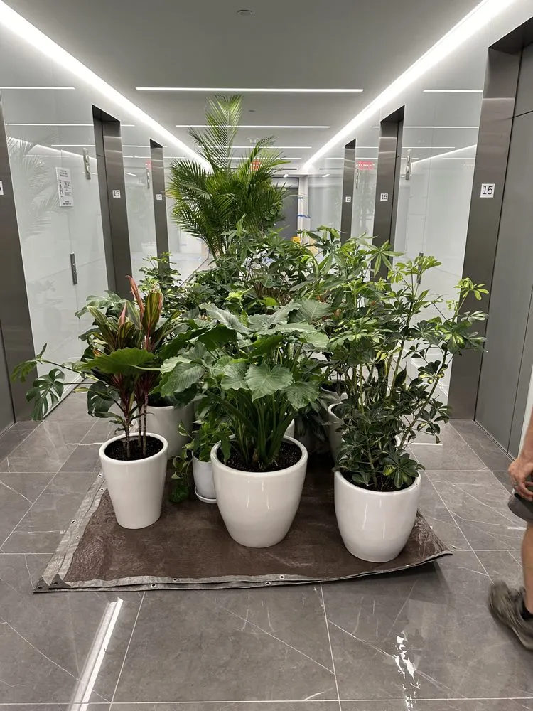 Local lawn care service experts serving Brooklyn, NY - Ivy League