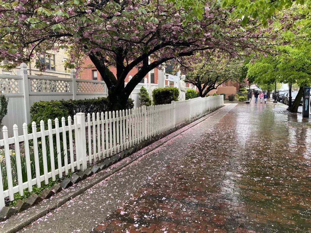 Professional landscape design for year-round maintenance in Brooklyn, NY by Ivy League