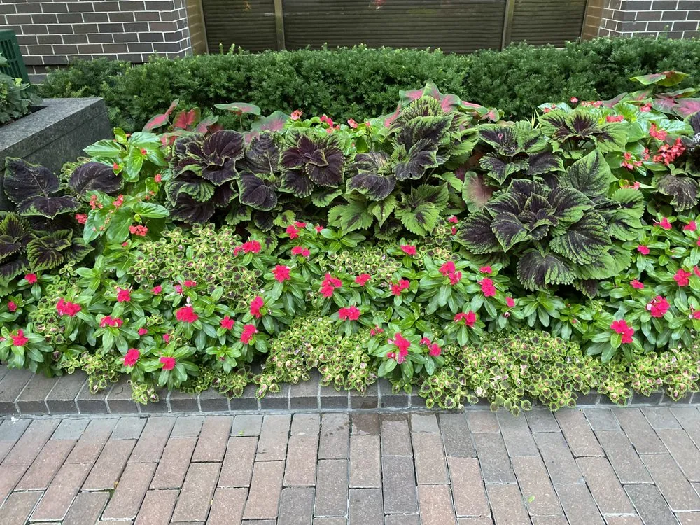 Custom lawn mowing service in Brooklyn, NY - Ivy League