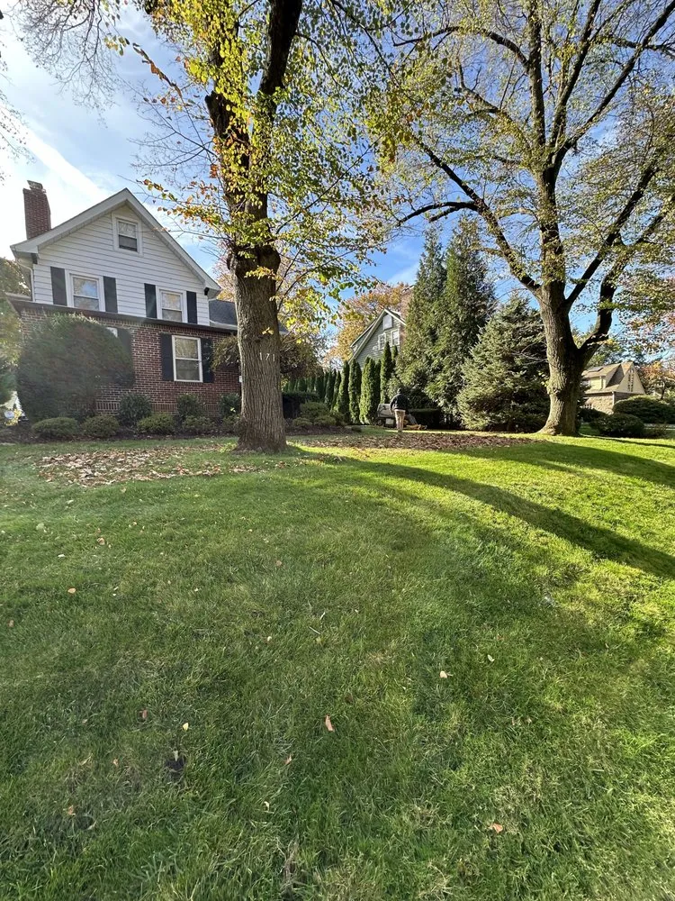 Expert landscape installation experts serving Brooklyn, NY - Ivy League