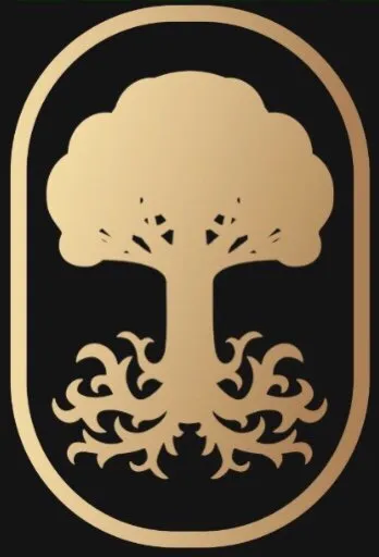 Trusted outdoor landscaping experts serving Norman, OK - Ivy League Landscaping