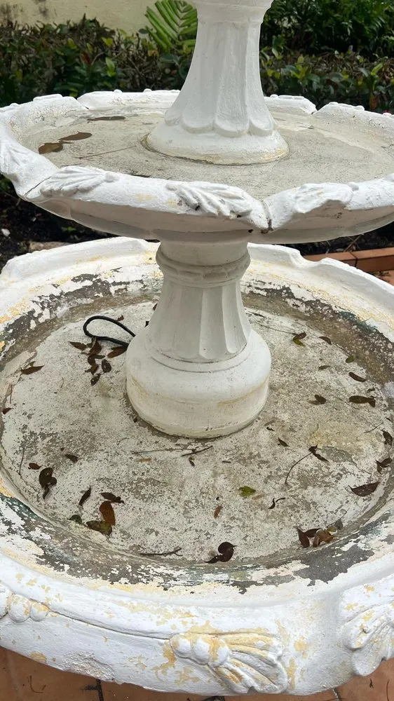 Reliable yard cleanup service experts serving Miami, FL - Ivy Ponds