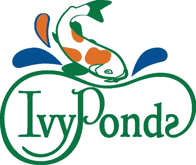 Top-rated landscape installation experts serving Miami, FL - Ivy Ponds