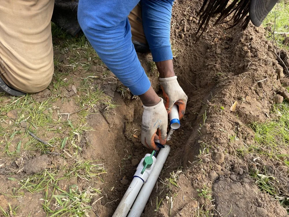 Reliable residential landscaping for year-round maintenance in Houston, TX by Ivy Terra