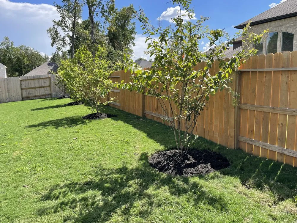 Local outdoor landscaping in Houston, TX by Ivy Terra