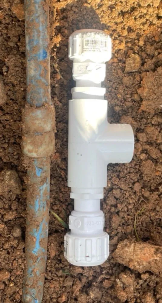 Trusted yard cleanup service for homes across Houston, TX - Ivy Terra