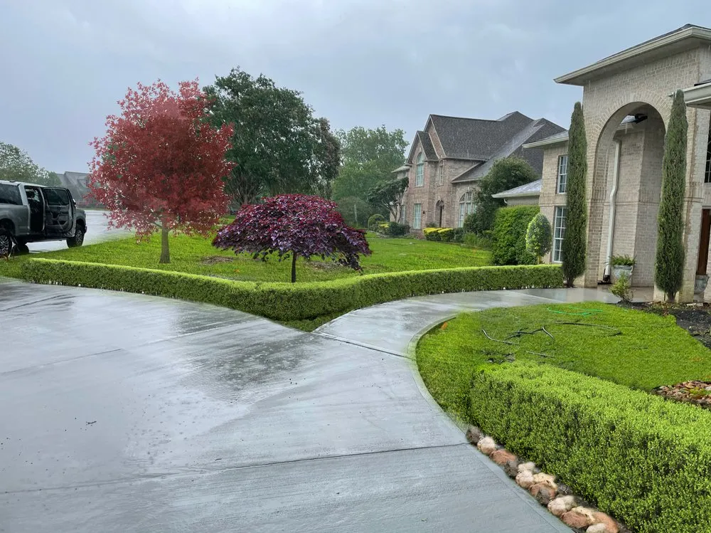 Expert garden landscaping for beautiful yards in Houston, TX by Ivy Terra
