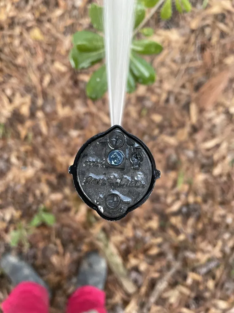 Custom outdoor landscaping in Houston, TX - Ivy Terra