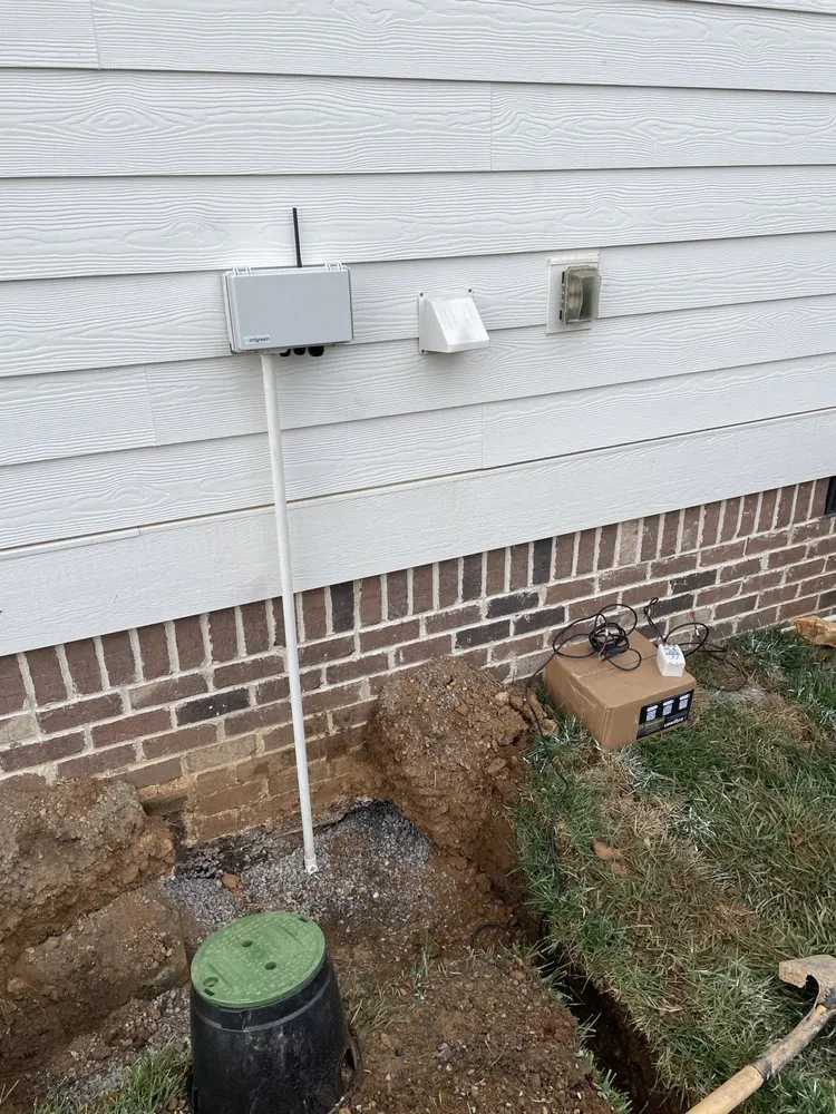 Professional yard cleanup service for residential properties across Houston, TX - Ivy Terra