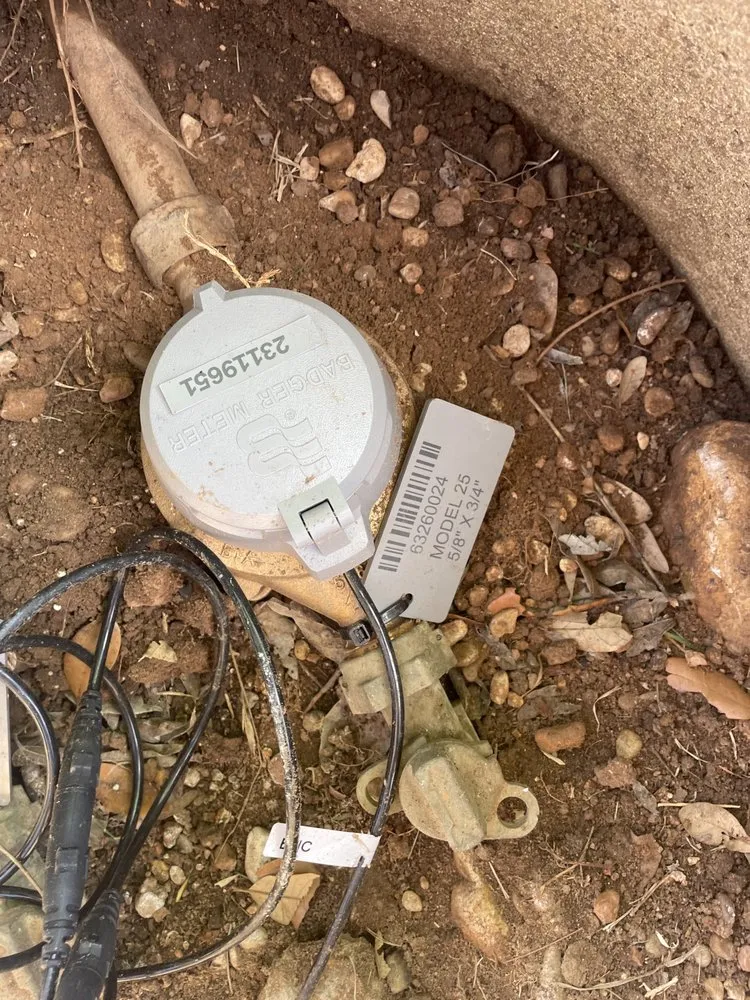 Reliable landscaping services for homes in Houston, TX by Ivy Terra