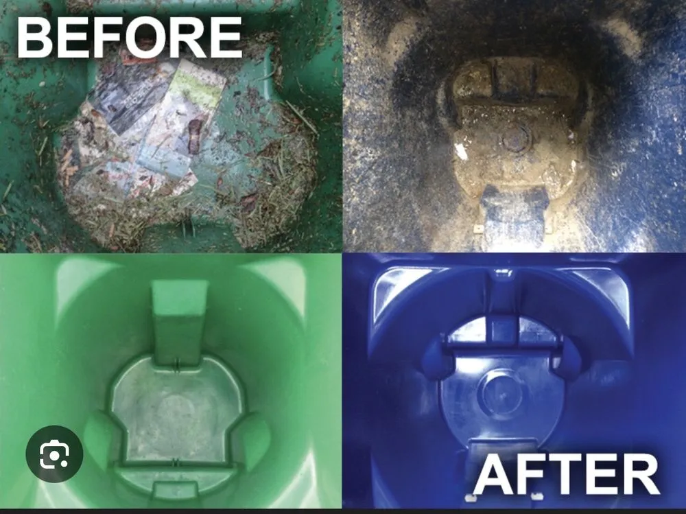 Trusted landscaping services in Dallas, TX - Ivys Get Sanitized